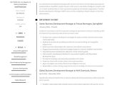 Sample Resume Director Of Economic Development Business Development Manager Resume & Guide 2022