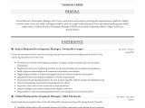 Sample Resume Director Of Economic Development Business Development Manager Resume & Guide 2022