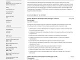 Sample Resume Director Of Economic Development Business Development Manager Resume & Guide 2022