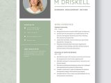 Sample Resume Director Of Economic Development Economic Development Officer Resume Template – Word, Apple Pages …