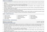 Sample Resume Director Of Information Security Information Security Specialist Resume Examples & Template (with …