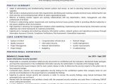 Sample Resume Director Of Information Security Information Security Specialist Resume Examples & Template (with …