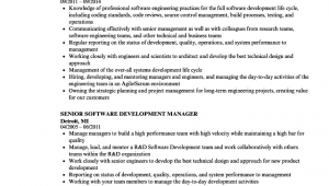 Sample Resume Director Of software Development Development Manager Resume