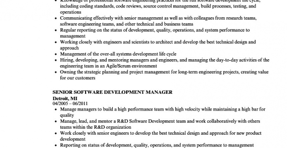 Sample Resume Director Of software Development Development Manager Resume