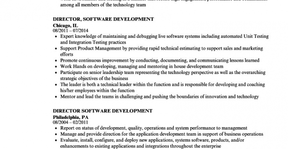 Sample Resume Director Of software Development Director software Development Resume Samples