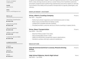 Sample Resume Driver Log Sheet Template Driver Resume Examples & Writing Tips 2022 (free Guide) Â· Resume.io