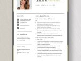 Sample Resume Edi Analyst In Retail Domain Analyst Resumes Templates – Design, Free, Download Template.net