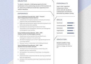 Sample Resume Education Coordinator Child Development Early Childhood Coordinator Resume Template – Word, Apple Pages …