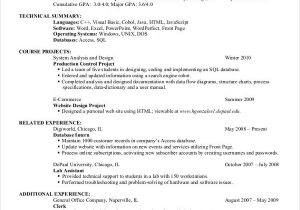 Sample Resume Entry Level Computer Science 12 Puter Science Resume Templates Pdf Doc