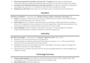 Sample Resume Entry Level Computer Science Puter Science Entry Level Resume