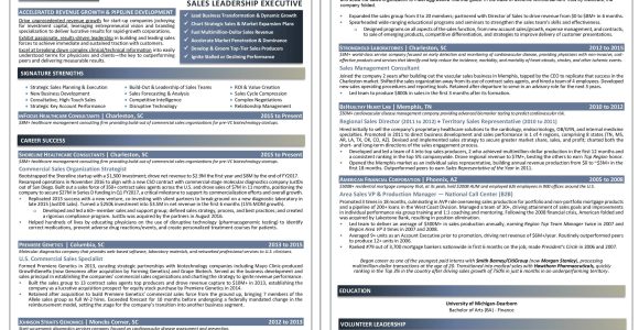 Sample Resume Executive Coaching Contract Template Executive Resume Package – Executive Resume Services