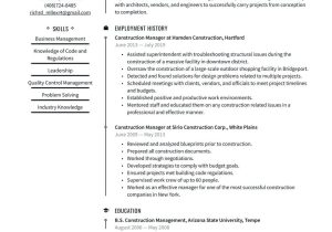 Sample Resume Experience In New Construction at University Construction Project Manager Resume Examples & Writing Tips 2022 (free