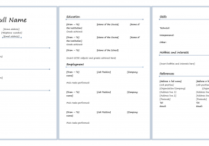 Sample Resume Fill In the Blank 7 Best Fill In Blank Printable Resume Printablee