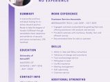 Sample Resume Flight attendant No Experience Flight attendant with No Experience Resume Samples and