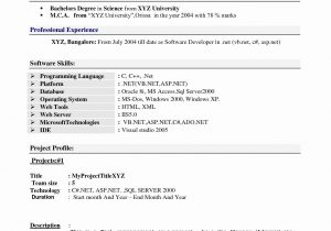 Sample Resume for 1 Year Experienced software Developer Resume format 1 Year Experienced software Engineer