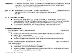 Sample Resume for 10 Years Experience 10 Years Experience Resume Ibrizz