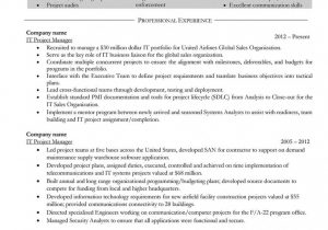 Sample Resume for 10 Years Experience Make 10 Years Experience It Project Manager Resume It
