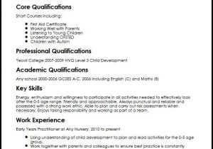 Sample Resume for 11 Years Experience Cv Template Year 11 Resume format