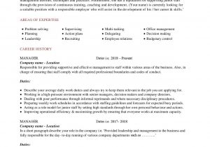 Sample Resume for 11 Years Experience Work Experience Cv Template Year 11 • Invitation Template