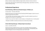 Sample Resume for 15 Years Experience Resume format for 5 Years Experience In Marketing Resume
