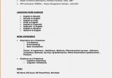 Sample Resume for 16 Year Old 16 Year Old Job Resume – Usandawubs