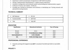 Sample Resume for 2 Years Experience In Sap Pi Sap Pp Resume for 2 Years Experience to whom It May