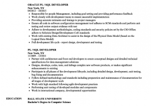 Sample Resume for 2 Years Experience In Sql Pl Sql Developer Resume 2 Years Experience to whom It