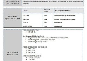Sample Resume for 20 Year Old Resume format 20 Years Experience Resume Templates