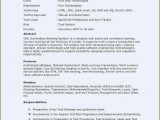 Sample Resume for 3 Years Experience In Selenium Testing Free Collection 60 Pl Sql Developer Resume 3 Years