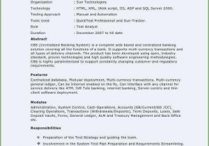 Sample Resume for 3 Years Experience In Selenium Testing Free Collection 60 Pl Sql Developer Resume 3 Years