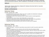 Sample Resume for 3 Years Experience In Selenium Testing Selenium Tester Resume Samples