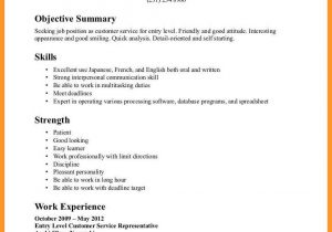Sample Resume for A First Time Job 12 13 Resume Sample for First Time Job Seeker