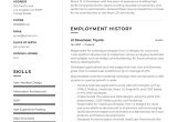 Sample Resume for A Pojos Guest Services Ui Developer Resume’s & Guide  20 Templates Pdf
