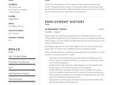 Sample Resume for A Pojos Guest Services Ui Developer Resume’s & Guide  20 Templates Pdf