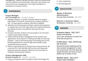 Sample Resume for A Program and Training Manager Program Manager Resume Sample 2022 Writing Tips – Resumekraft