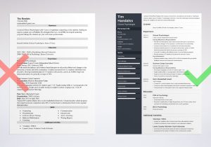 Sample Resume for A Psychology Graduate Psychology Resume Examples (skills, Summary & Objective…)