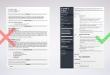 Sample Resume for A Retail Store Manager Retail Manager Resume Examples (with Skills & Objectives)