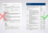 Sample Resume for A Retail Store Manager Store Manager Resume Examples [lancarrezekiqjob Description & Skills]