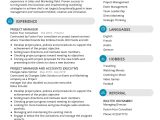 Sample Resume for A Sales Account Executive Account Executive Resume Template 2022 Writing Tips – Resumekraft