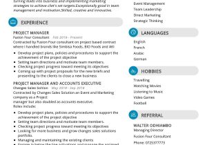 Sample Resume for A Sales Account Executive Account Executive Resume Template 2022 Writing Tips – Resumekraft
