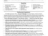 Sample Resume for A Sales Account Executive Account Manager Resume Monster.com