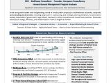 Sample Resume for A Sales Executive Procter and Gamble It Director Sample Resume. Cio Resume Writing by former Recruiter …