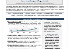 Sample Resume for A Sales Executive Procter and Gamble It Director Sample Resume. Cio Resume Writing by former Recruiter …