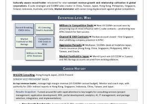 Sample Resume for A Sales Executive Procter and Gamble Sample Vp Sales Resume Sales Resume, Executive Resume, Resume