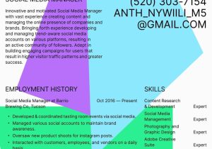 Sample Resume for A social Media Manager social Media Manager Resume Examples & Writing Tips 2022 (free Guide)