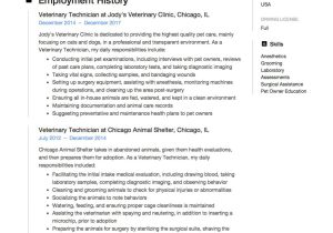 Sample Resume for A Starting Career Pet Care 11 Vet Tech Scholar Resume Veterinary Technician, Resume …