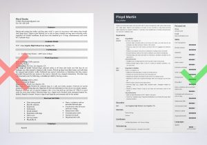 Sample Resume for A Starting Career Pet Care Dog Walker Resume: Sample & Writing Guide [20lancarrezekiq Tips]