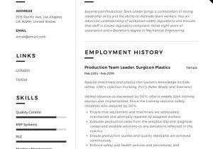 Sample Resume for A Team Leader Position Full Guide: Production Team Leader Resume 12 Examples