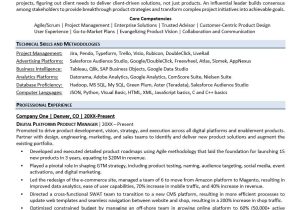 Sample Resume for A Team Leader Position Leadership Resume Sample Monster.com