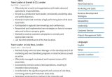 Sample Resume for A Team Leader Position Team Leader Cv Examples & Writing Tips 2022 (free Guide) Â· Resume.io